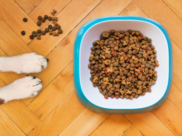 Picture for category Dog Food